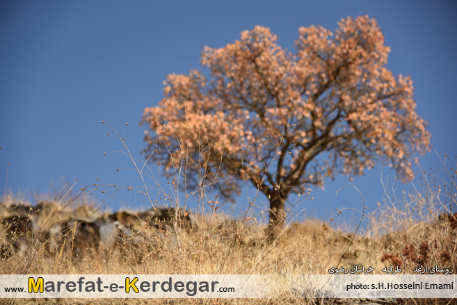 جاذبه های گردشگری طرقبه جاذبه های گردشگری طرقبه