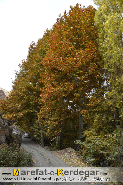 پاییز روستای ازغد پاییز روستای ازغد