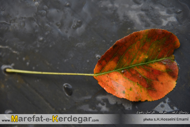 روستای ازغد روستای ازغد