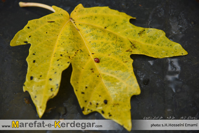 دیدنی های خراسان رضوی دیدنی های خراسان رضوی