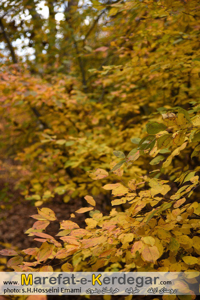 پاییز خراسان رضوی پاییز خراسان رضوی