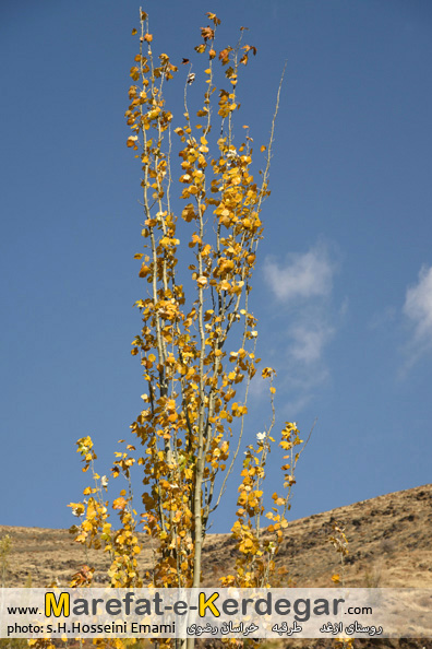 جاذبه های طبیعی خراسان رضوی جاذبه های طبیعی خراسان رضوی