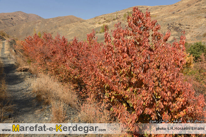 گردشگری خراسان رضوی گردشگری خراسان رضوی