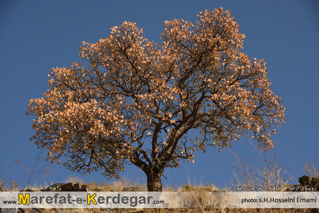 گردشگری طرقبه گردشگری طرقبه