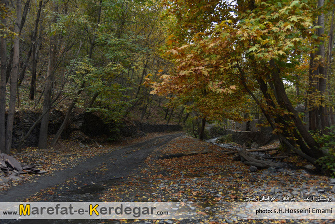 پاییز ازغد پاییز ازغد