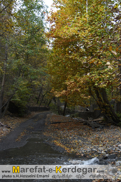 پاییز ازغد پاییز ازغد