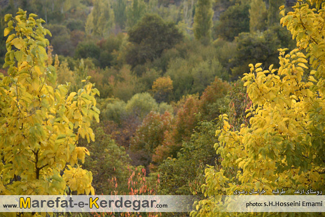 طبیعت پاییزی روستای ازغد طبیعت پاییزی روستای ازغد