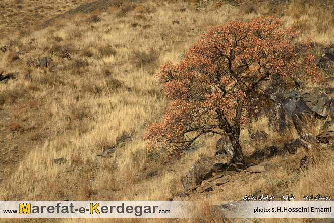 گردشگری طرقبه گردشگری طرقبه