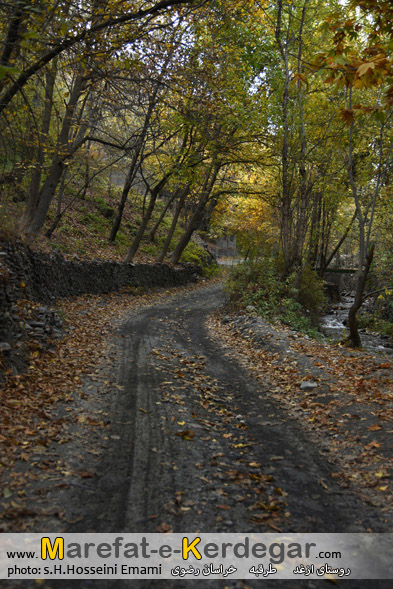 پاییز روستای ازغد پاییز روستای ازغد