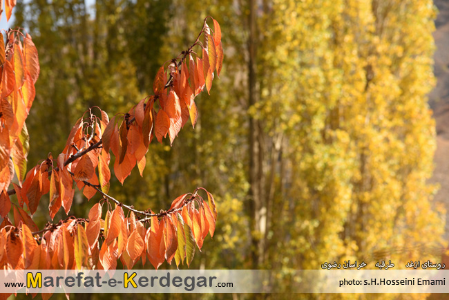 طبیعت روستای ازغد طبیعت روستای ازغد