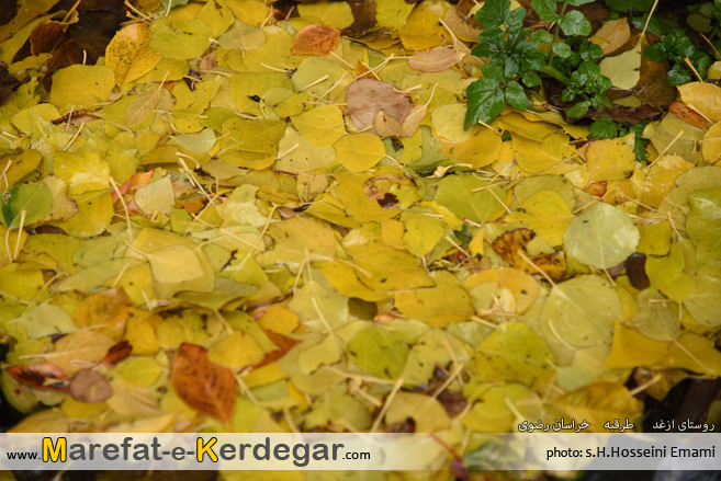 روستای ازغد روستای ازغد