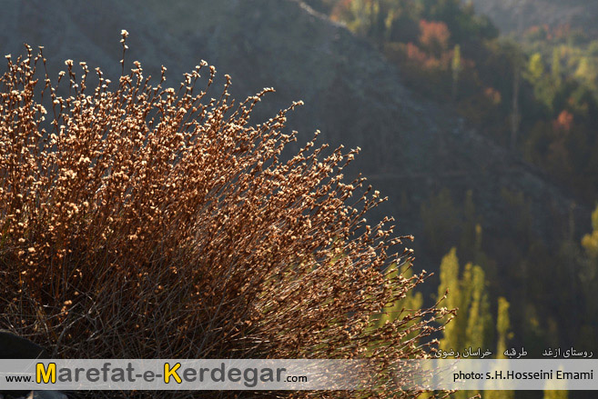 طبیعت طرقبه طبیعت طرقبه