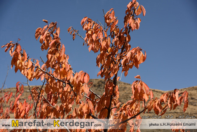 جاذبه های طبیعی طرقبه جاذبه های طبیعی طرقبه