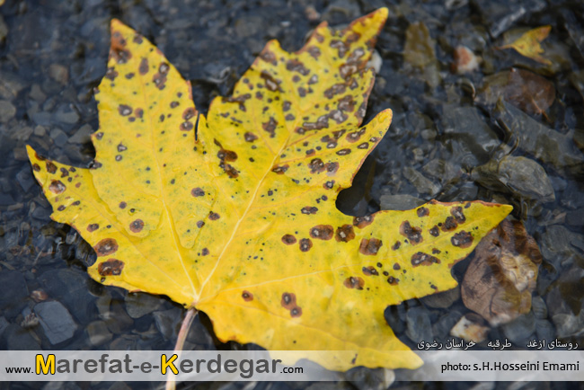 دیدنی های طرقبه دیدنی های طرقبه