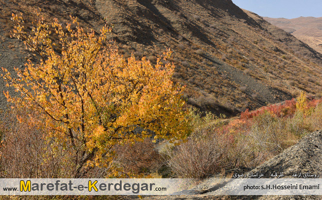 جاذبه های گردشگری طرقبه جاذبه های گردشگری طرقبه