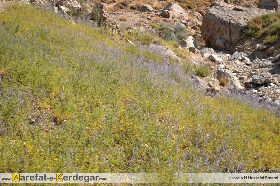 کوهنوردی در خراسان شمالی