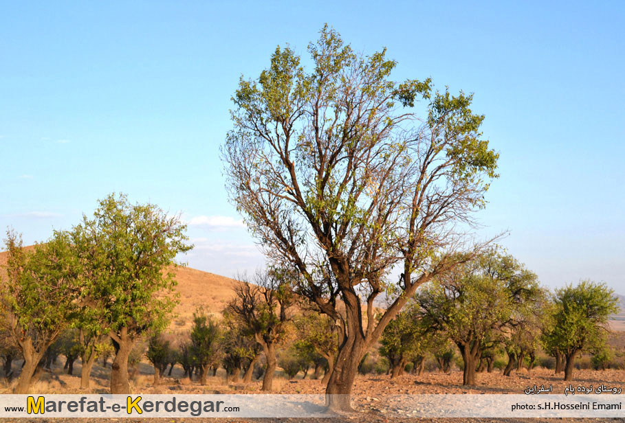 روستای نوده بام