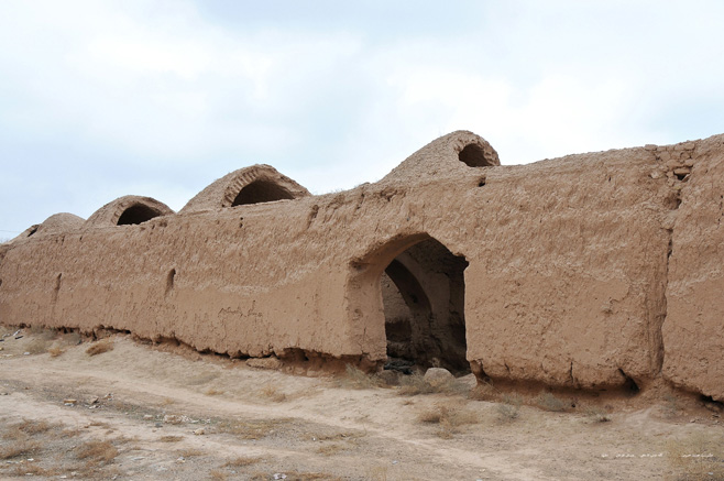 گله دونی امرغان گله دونی امرغان