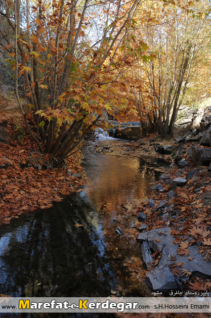 طبیعت پاییزی روستای جاغرق طبیعت پاییزی روستای جاغرق