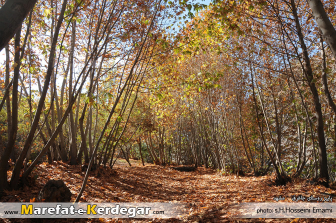 پاییز در روستای جاغرق پاییز در روستای جاغرق