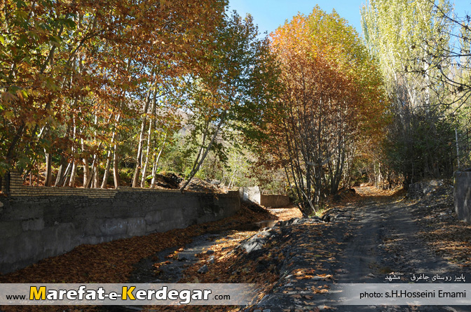 طبیعت پاییزی طبیعت پاییزی