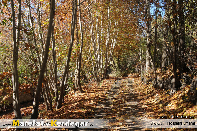 طبیعت پاییزی طبیعت پاییزی