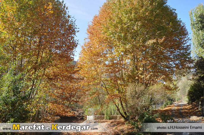 طبیعت پاییزی مشهد طبیعت پاییزی مشهد