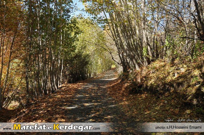 طبیعت پاییزی خراسان رضوی طبیعت پاییزی خراسان رضوی