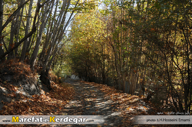 طبیعت پاییزی استان خراسان رضوی طبیعت پاییزی استان خراسان رضوی