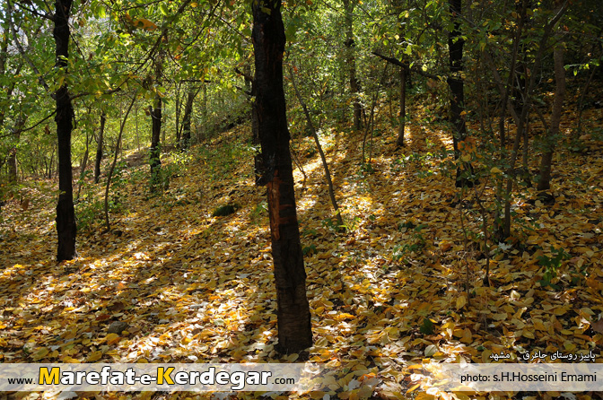 اماکن توریستی مشهد اماکن توریستی مشهد