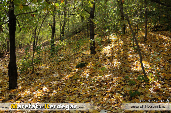 اماکن توریستی مشهد اماکن توریستی مشهد