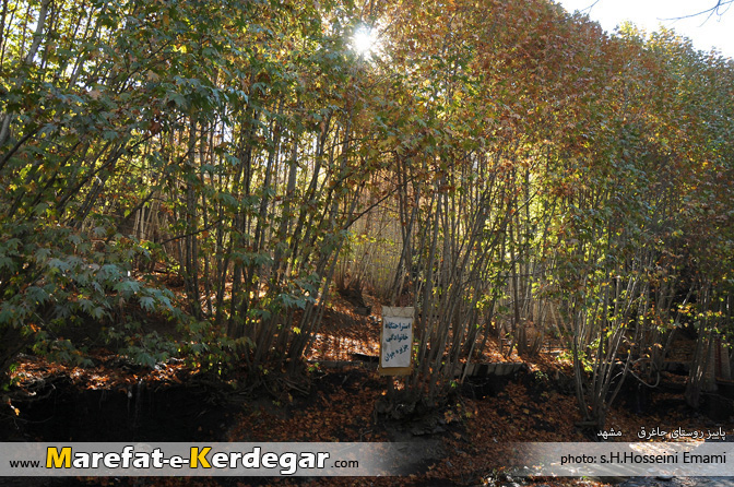 استراحت گاه روستای جاغرق استراحت گاه روستای جاغرق