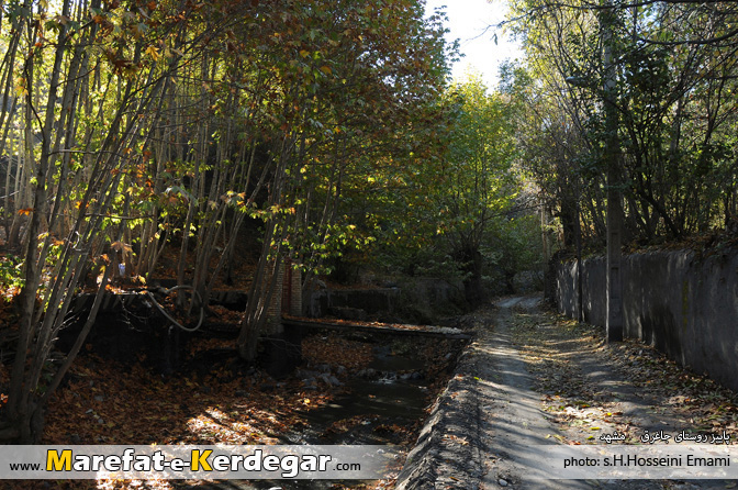 باغات روستای جاغرق باغات روستای جاغرق