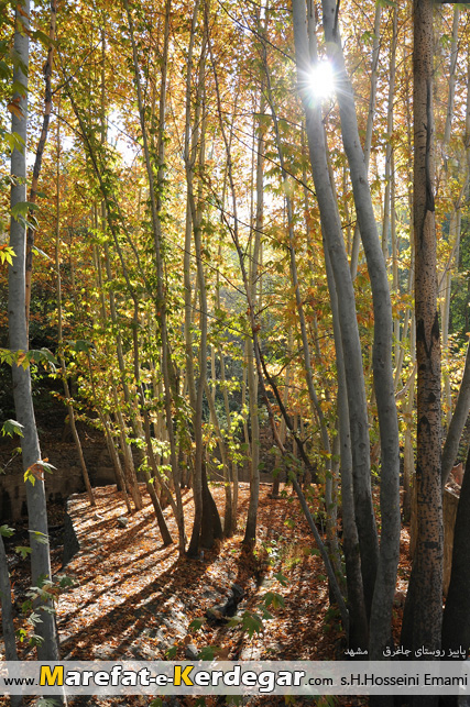 دیدنی های روستای جاغرق دیدنی های روستای جاغرق