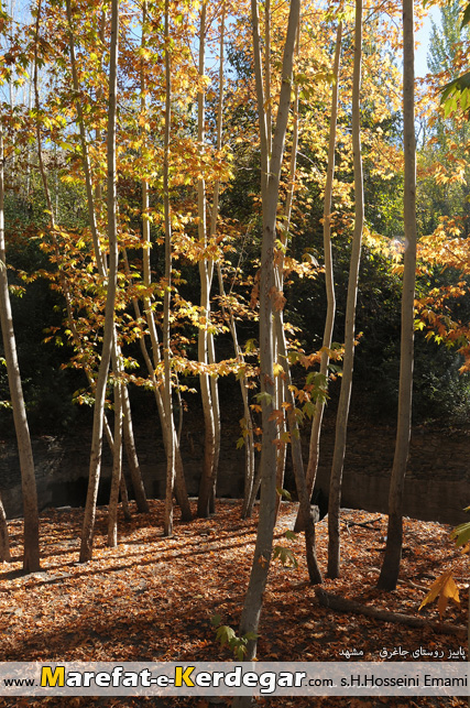 جاذبه های گردشگری روستای جاغرق جاذبه های گردشگری روستای جاغرق