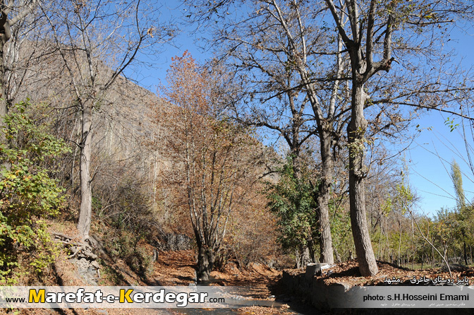 مناطق گردشگری استان خراسان رضوی مناطق گردشگری استان خراسان رضوی