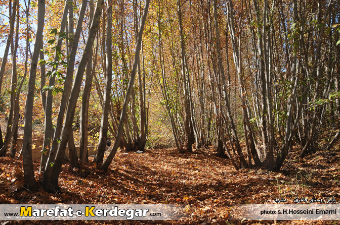 دیدنی های استان خراسان رضوی دیدنی های استان خراسان رضوی