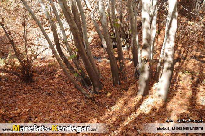 طبیعت استان خراسان رضوی طبیعت استان خراسان رضوی