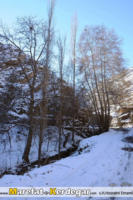 طبیعت زمستانی روستای کنگ طبیعت زمستانی روستای کنگ