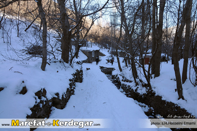 باغات روستای کنگ باغات روستای کنگ