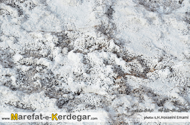 دیدنی های بجستان دیدنی های بجستان