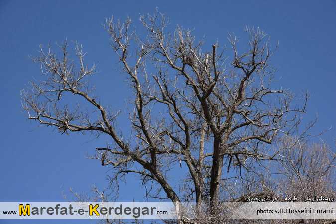 طبیعت ازغد طبیعت ازغد