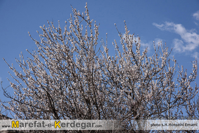 طبیعت بهاری روستای ازغد طبیعت بهاری روستای ازغد