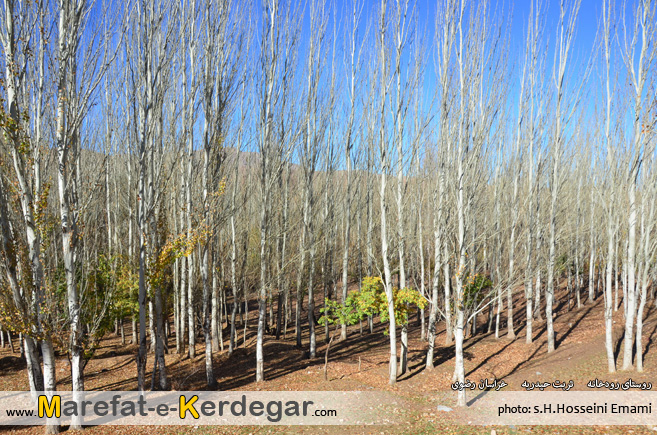 طبیعت پاییزی تربت حیدریه طبیعت پاییزی تربت حیدریه