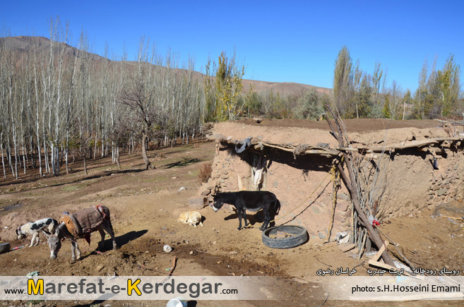 روستاهای تربت حیدریه روستاهای تربت حیدریه