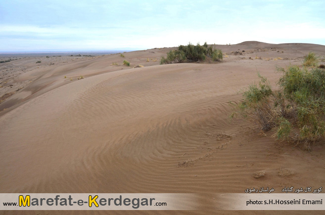 کویر کال شور گناباد کویر کال شور گناباد