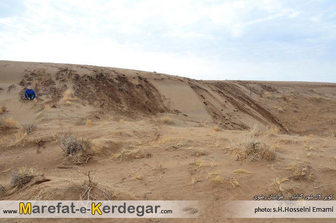 کویر گردی کویر گردی