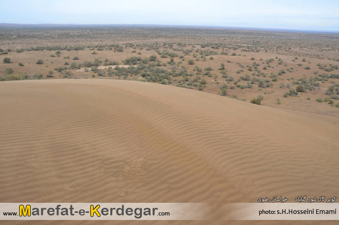 رمل های گناباد رمل های گناباد