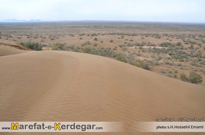 رمل های گناباد رمل های گناباد