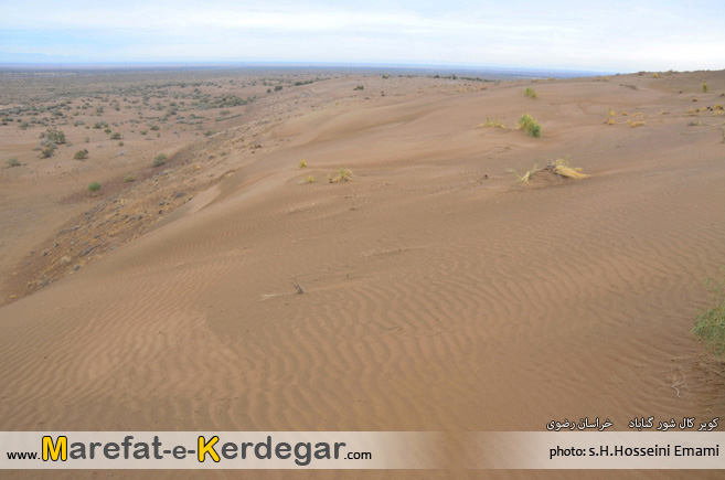 ماسه بادی های گناباد ماسه بادی های گناباد